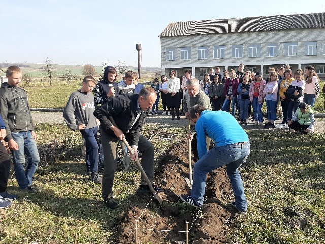 Шкільна грядка Розума